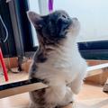 用户9777397209746头像