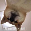 Leon丶633头像