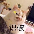 呢哦呢哟头像