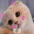 暮色春旭 · 凯迪拉克CT6车主·车龄3年头像