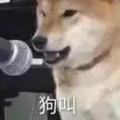 Cardream头像