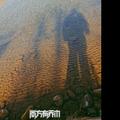 风吹过的夏天✘头像