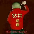 心随意行心随你动头像
