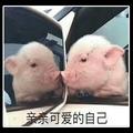 红鲤鱼与绿鲤鱼与驴49头像