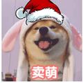什么时候变好啊头像