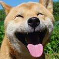 荒岛以南头像