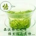 无悔121头像