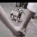 过去的梦卅头像