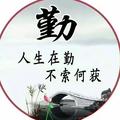 何处繁华笙歌落379头像