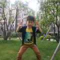 奔马8821头像