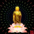 想你的夜里69542207头像