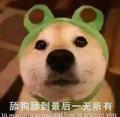 用户9397574432633头像