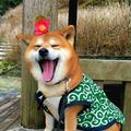 白瑞德10头像