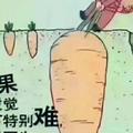 用户天志梦头像