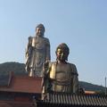 旅途漫长854头像