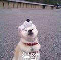 自若小鱼N9u头像