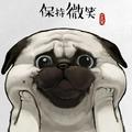 一只有理想的熊头像