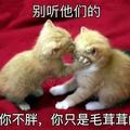 小样儿往哪跑头像