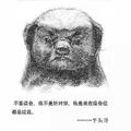 明明a敏敏头像