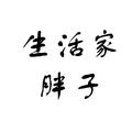 生活家胖子 · 迈腾车主·车龄4年头像